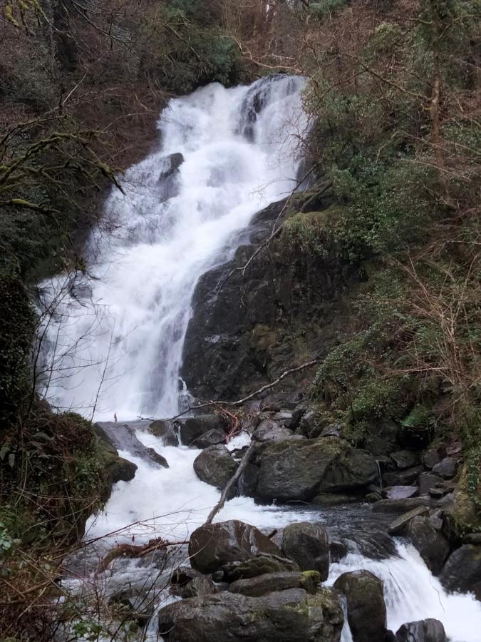 קיל איירן Larkfield House B&B, Ballycasheen Kerry V93 Wd51 מראה חיצוני תמונה