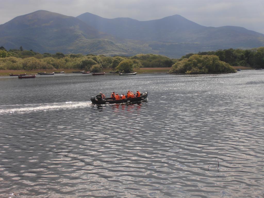 קיל איירן Larkfield House B&B, Ballycasheen Kerry V93 Wd51 מראה חיצוני תמונה