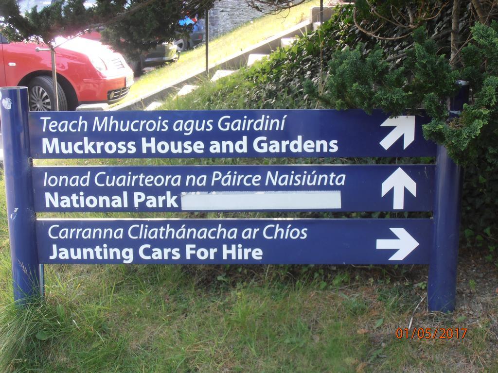 קיל איירן Larkfield House B&B, Ballycasheen Kerry V93 Wd51 מראה חיצוני תמונה