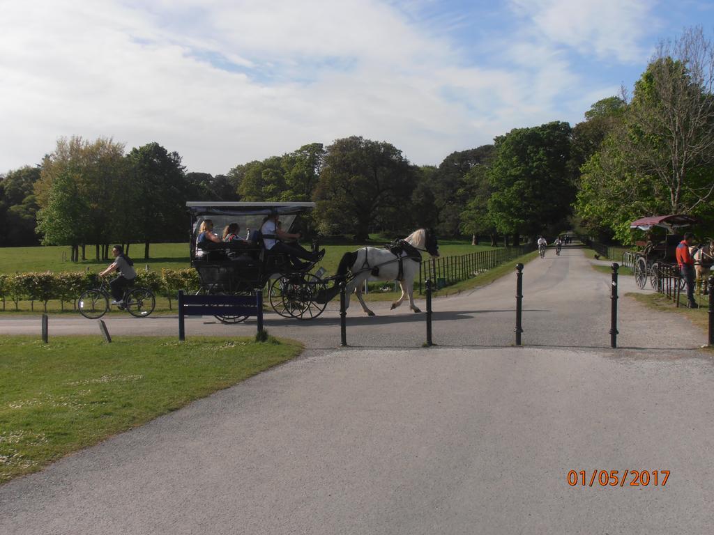 קיל איירן Larkfield House B&B, Ballycasheen Kerry V93 Wd51 מראה חיצוני תמונה