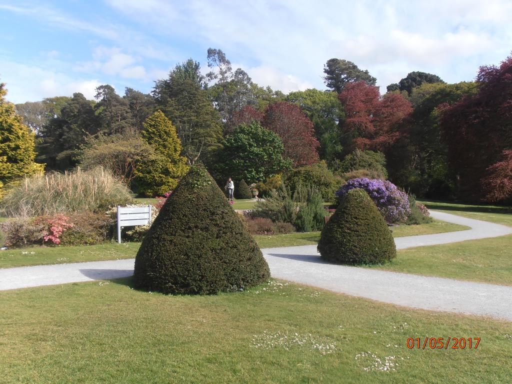 קיל איירן Larkfield House B&B, Ballycasheen Kerry V93 Wd51 מראה חיצוני תמונה